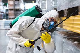 Best Fumigation Services  in Menands, NY